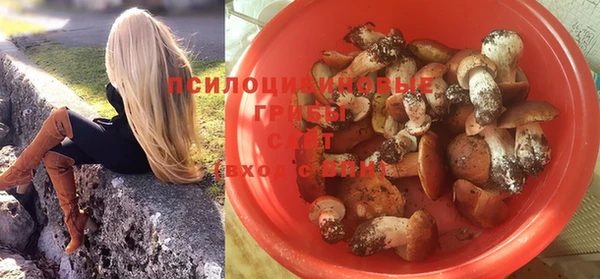 дживик Алексеевка